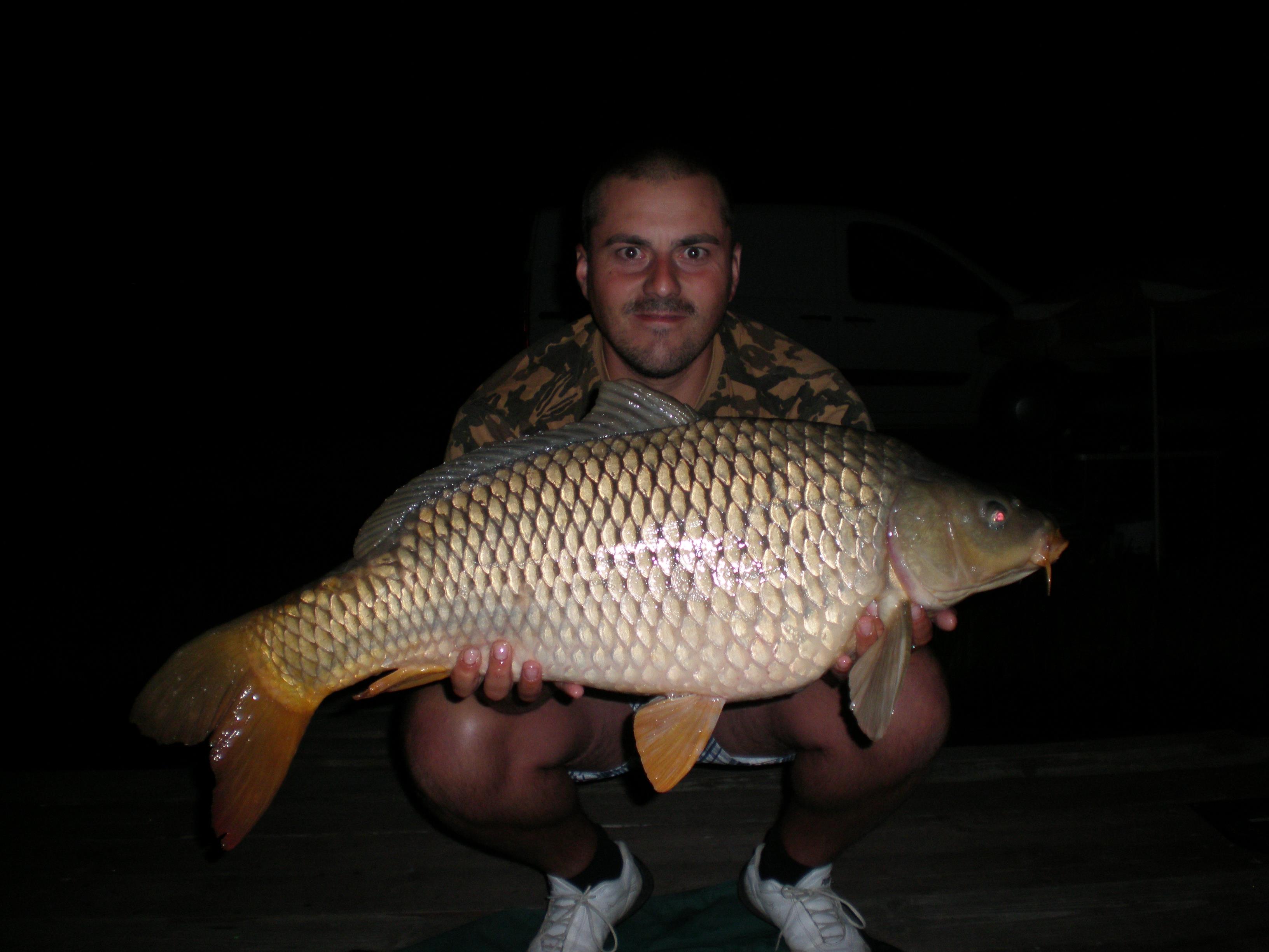 ccarp - P8210097.JPG